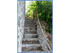 Beach Deck